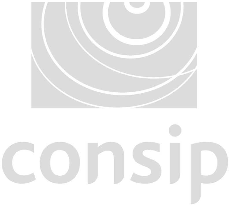 Logo Consip